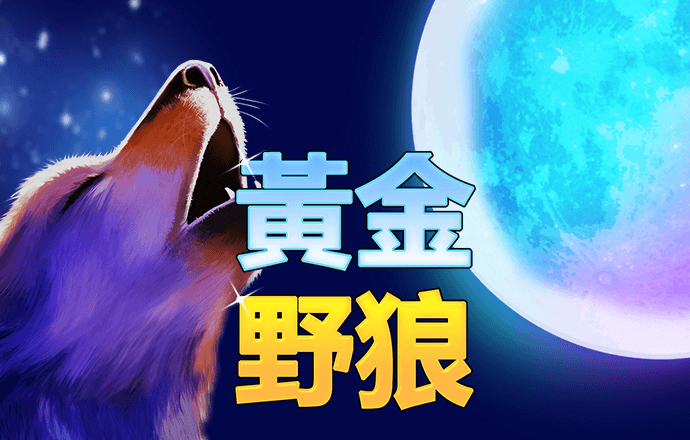 一肖一码期期准
